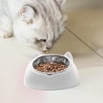 thumbnail image 5 of Cuenco doble para perros y gatos, juego de cuencos de agua y comida para mascotas con botella dispensadora de agua automática extraíble, 5 of 5