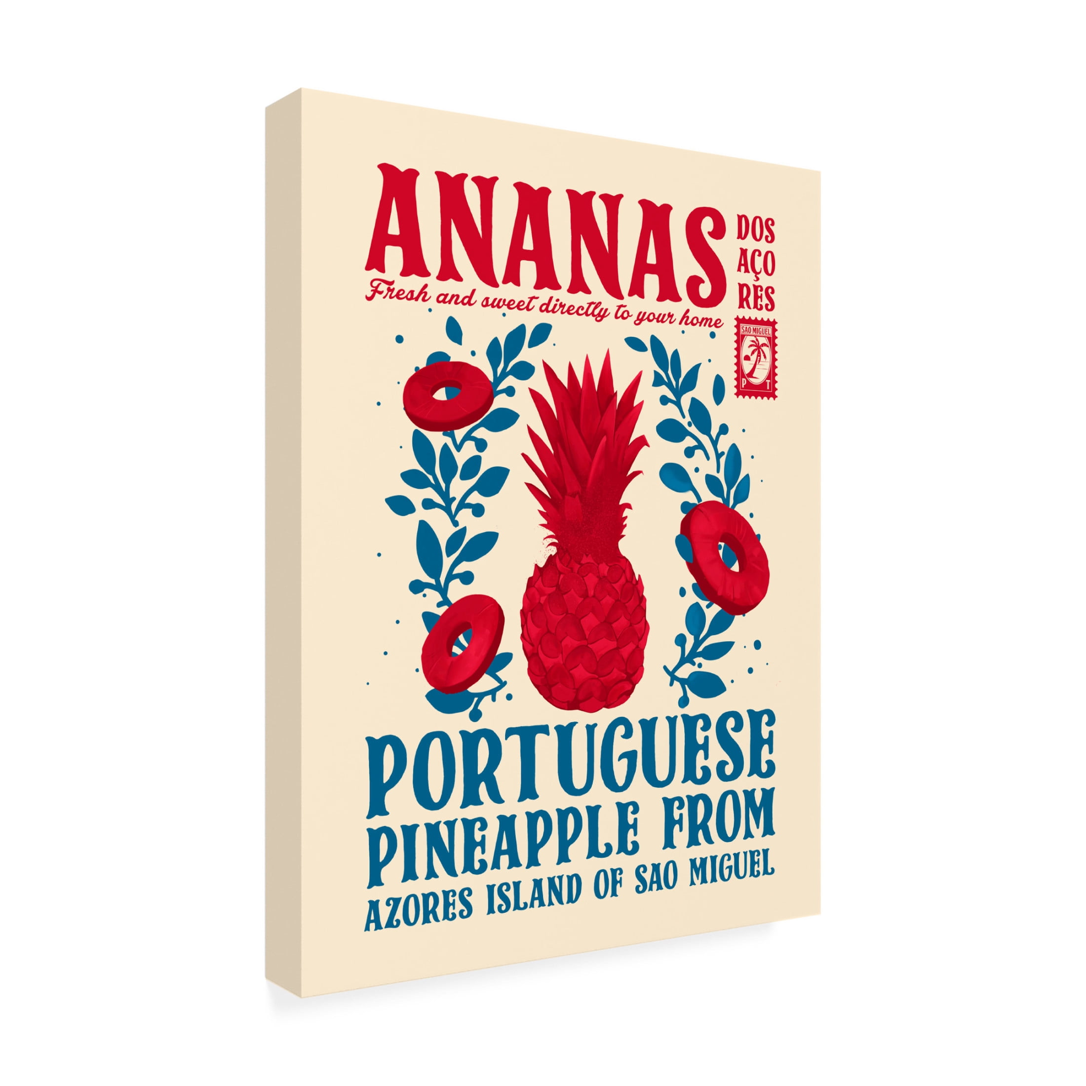 Trademark Fine Art Dionisis Gemos Pineapple kitchen print Canvas Wall Art