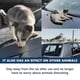 thumbnail image 2 of Dog Repellent Spray, Tire Protection Portable and Effective Animal Repellent, 2 of 5