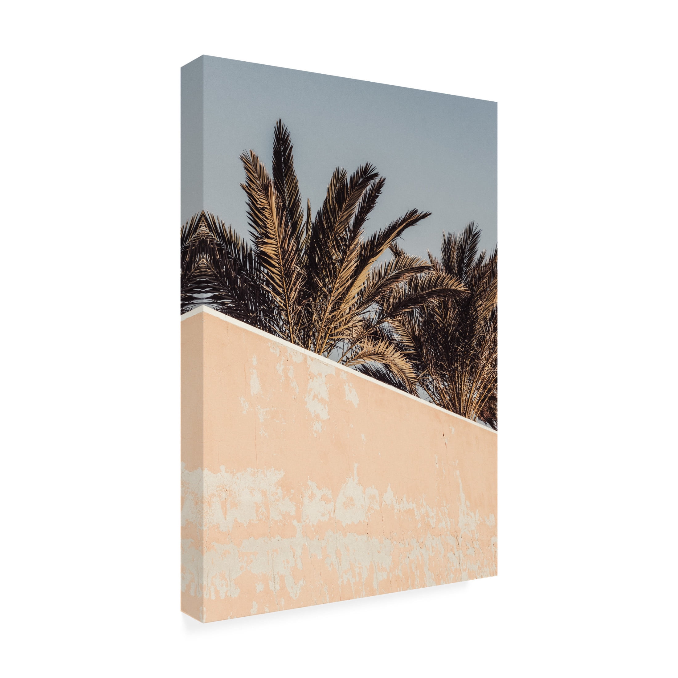 Trademark Fine Art Pictufy Studio III Palm Canvas Wall Art