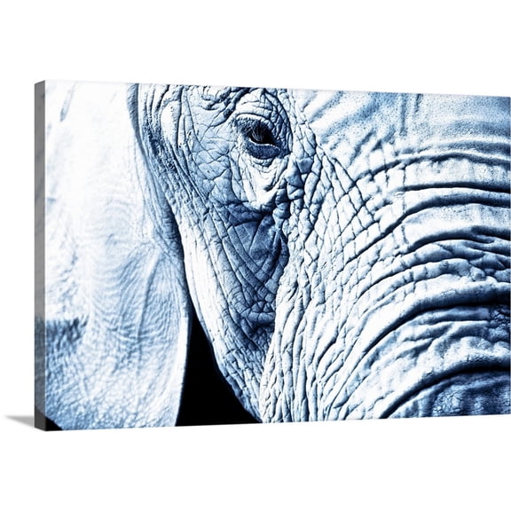 Great BIG Canvas | "Close Up Of An Elephant's Face" Canvas Wall Art - 48x32