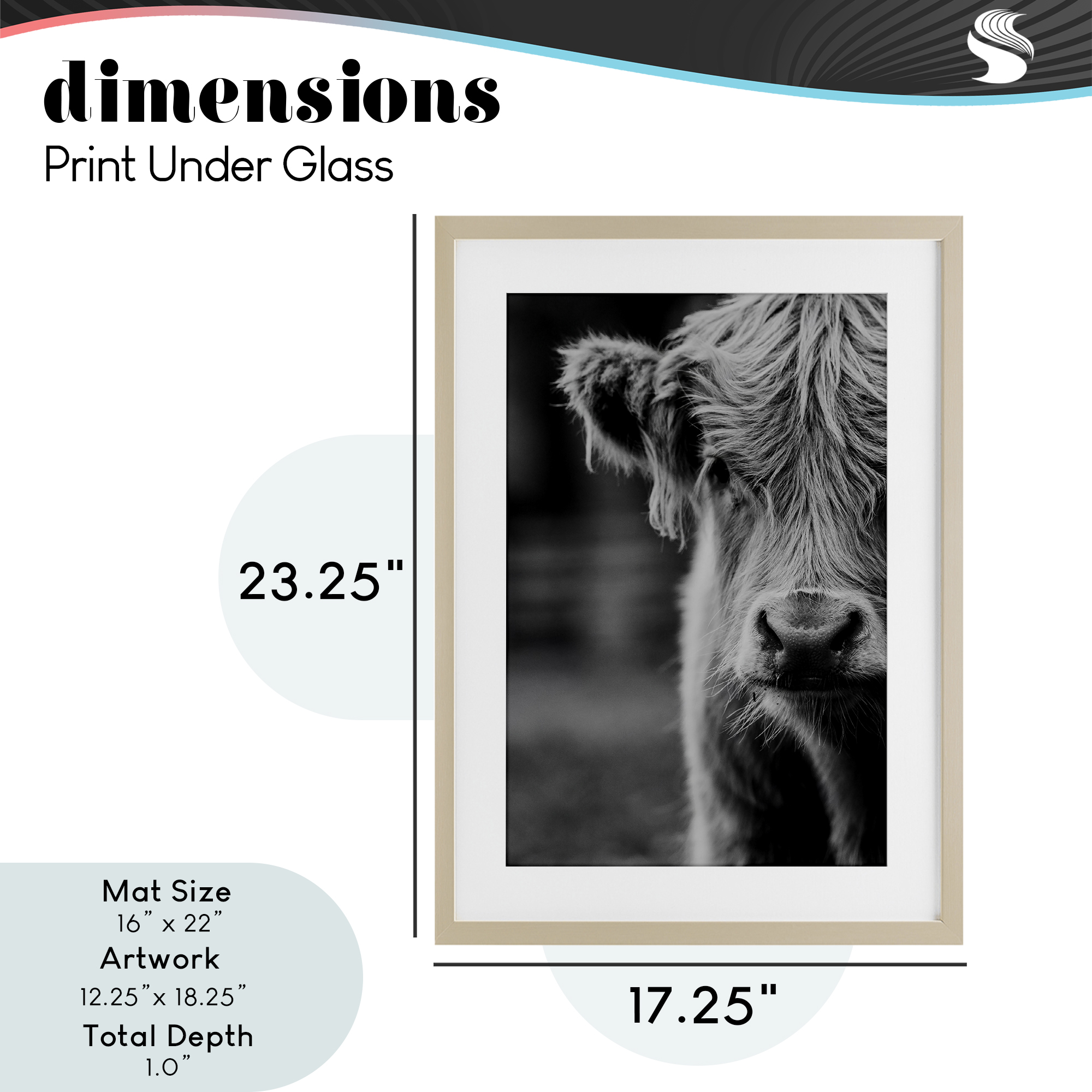 Baby Cow Face Birch Framed Print Under Glass, design by Amy Carroll