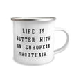thumbnail image 2 of Inspire European Shorthair Cat s, Life is Better With an European Shorthair, Gag Birthday 12oz Camper Mug s For Friends, 2 of 2