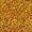 Orange, variant on Erosebridal Shimmer Leopard Bed Spread Queen for Girls, Glow Spot Print Queen Coverlet Set, 3-Piece