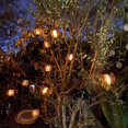 thumbnail image 2 of Luces De Hadas Led Solares Luces De Cadena Al Aire Libre Lámparas De Linterna De Llama Colgantes Decoración De Jardín Lámpara De Hadas De Bola De Llama Methold HA035982-00, 2 of 6