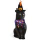 thumbnail image 4 of Ropa de Navidad para gatos, decoración para fiestas de Halloween y gatos, capa, sombrero, collar para perros, accesorios para vestir a perros y gatos Adepaton Ropa para Gato, 4 of 5