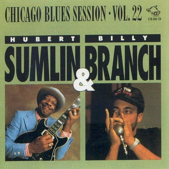 Various Artists - Chicago Blues Sessions 22 / Various - Music & Performance - CD