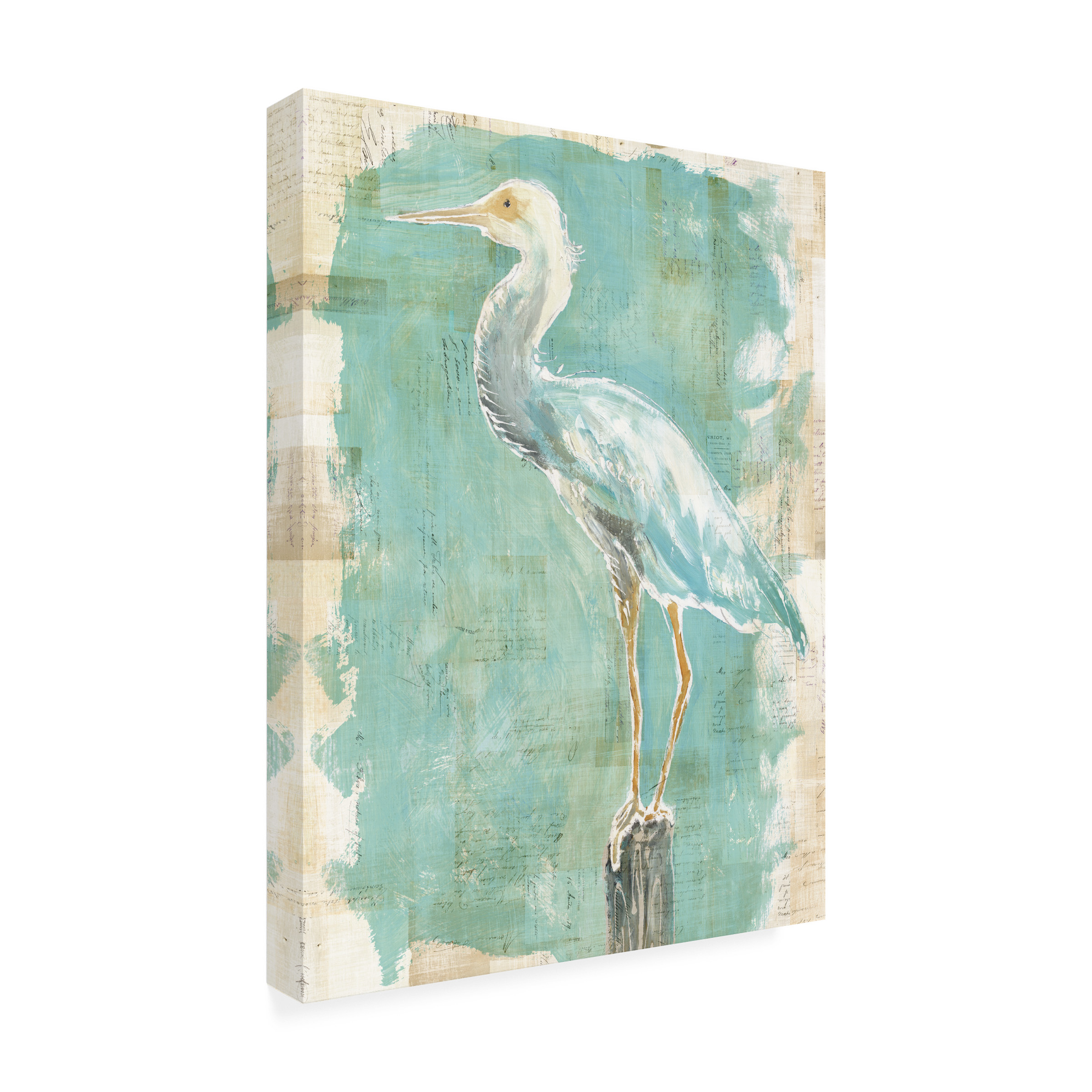 Trademark Fine Art 'Coastal Egret II v2' Canvas Art by Sue Schlabach