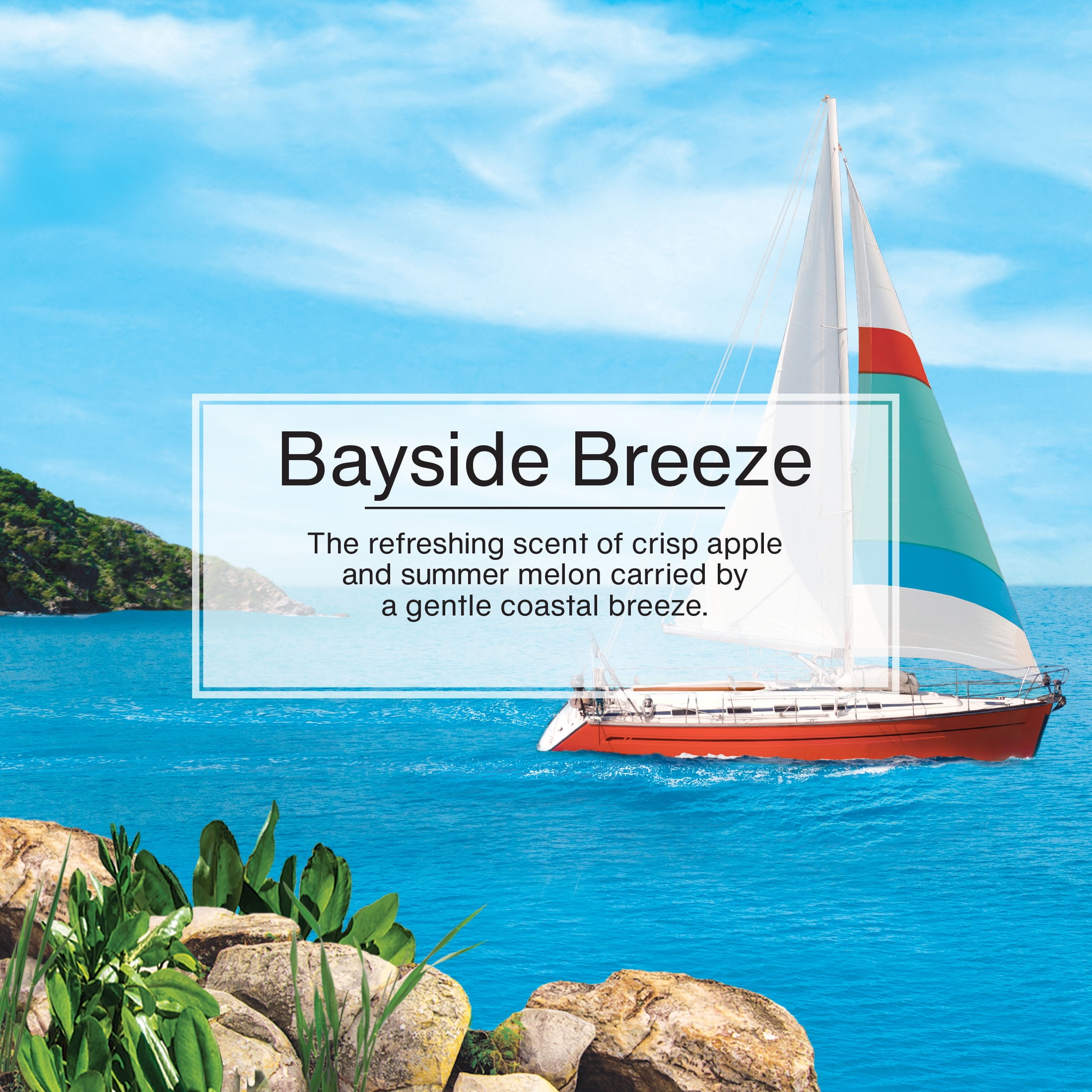 (2 pack) Little Trees Air Freshener Bayside Breeze Fragrance 3-Pack