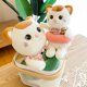 thumbnail image 2 of 2022 New Cute Dudu Cat Plush Toys / Swimming Circle Cat Dolls / Children's Birthday Gifts / Family Decorationspink26cm Deng Xun unisex, 2 of 2