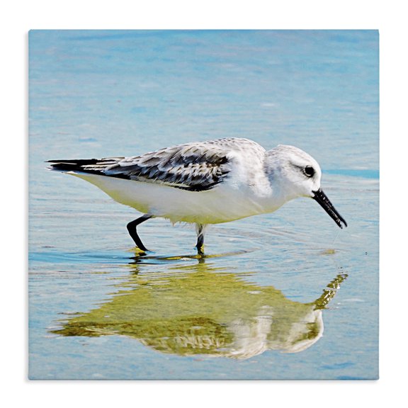 Stupell Industries Rustic Lodge Grazing Sandpiper in Water Canvas Art, 17 x 17, by Graffitee Studios