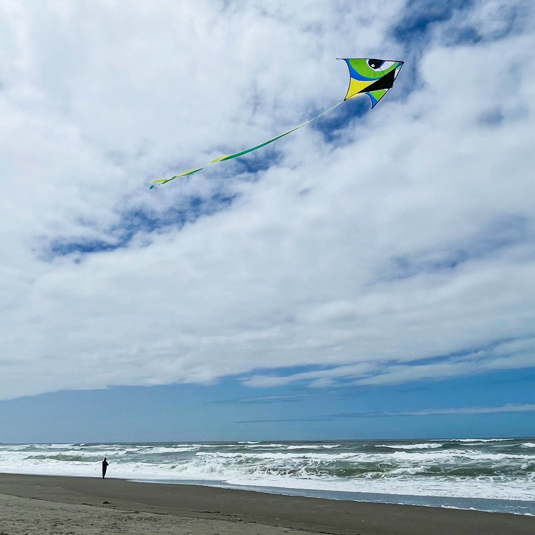 In the Breeze 3339 — Manu Green 72" Delta Kite — Colorful Large Fun, Easy-Flying Single Line Kite for All Ages