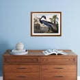 thumbnail image 5 of Louisiana Heron, Animals Framed Art Print Wall Art by John James Audubon Sold by Art.Com, 5 of 6