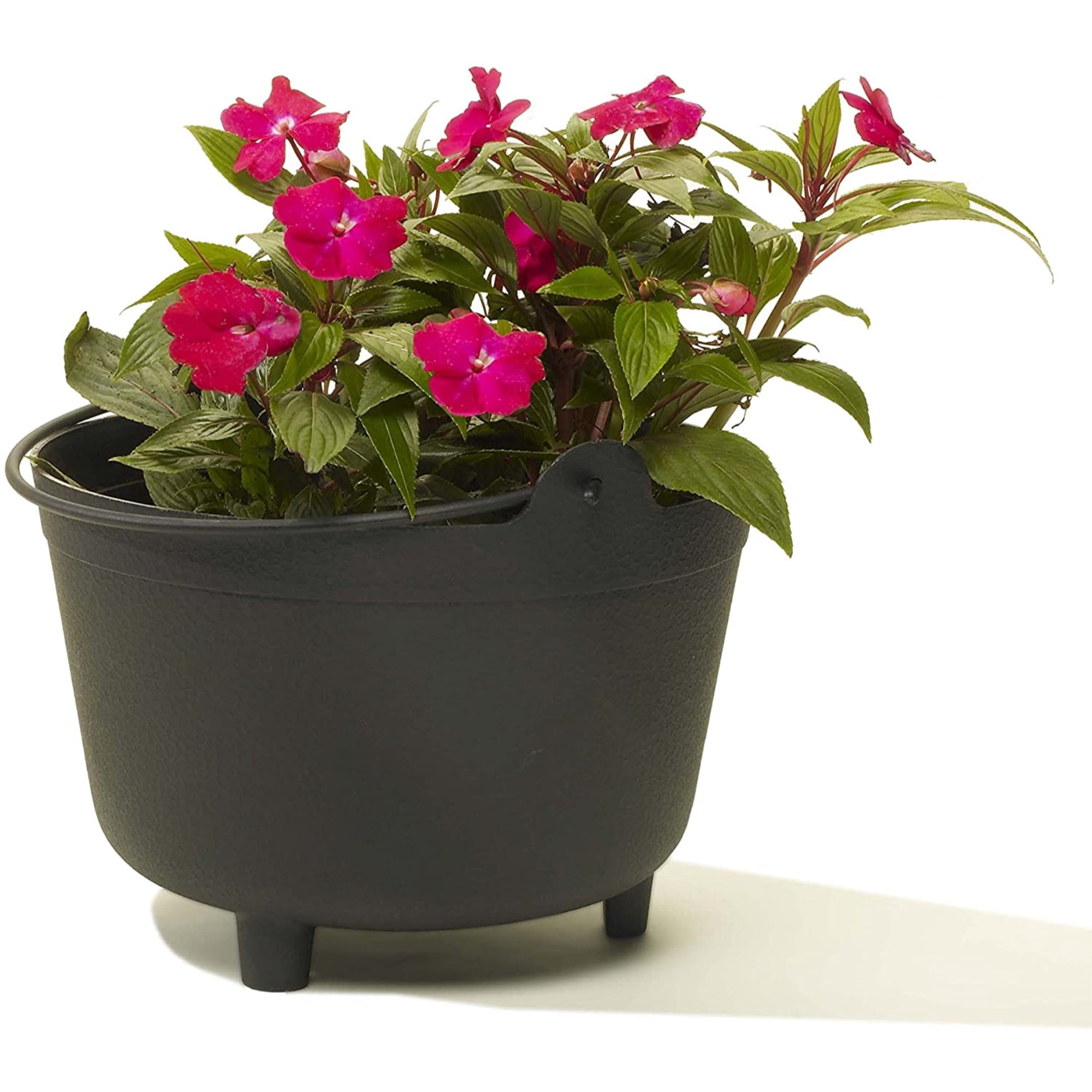 Root & Vessel Antique Kettle Planter, Black, 15"