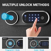 Safe Box,Blacksmith 0.6 Cuft Biometric Safe Lock Box with Fingerprint,Code and Keys Quick Unlock,Security Money Safe Lock Cabinet,Black