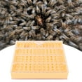 thumbnail image 4 of Non-Toxic Plastic Queen Bee Rearing System Kit with Graft-Free Cell Cups, 110-Piece Cups, Rearing Box, Queen Cages, Marker Bottle & Bee Move Tool – Essential Reusable Beekeeping Equipment for, 4 of 6