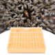 thumbnail image 5 of LYUMO Kit de copa de cría de abejas, copa de cría de abejas, copa de cría de abejas de plástico, sistema de cría de reina, caja de cría de abejas para equipo de apicultura LYUMO No se aplica, 5 of 6
