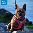 thumbnail image 5 of Voyager Step-In Air Mesh Dog Harness by Best Pet Supplies, 5 of 9