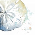 thumbnail image 3 of Pinto, Patricia 12x12 Black Modern Framed Museum Art Print Titled - Water Sand Dollar, 3 of 5