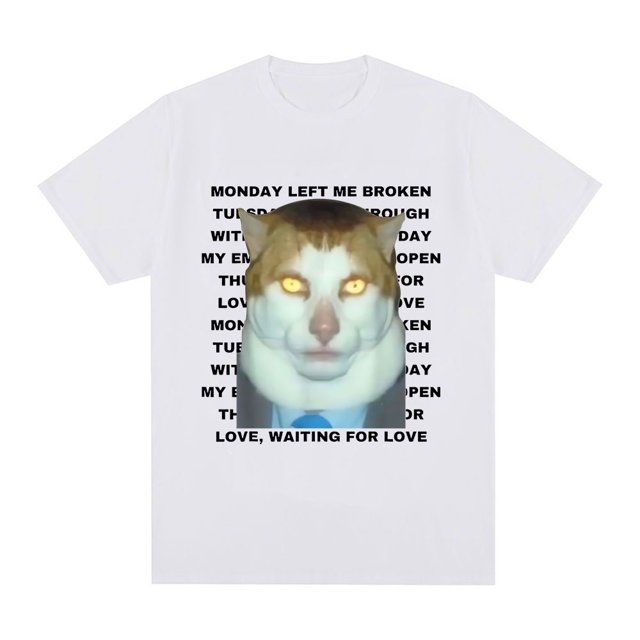 Camiseta gráfica divertida "Lunes me dejó roto" de gato para hombre, de algodón, informal, de manga corta, estilo vintage, de gran tamaño.
