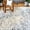 Ivory/Grey, variant on Nicole Miller New York Patio Sofia Juniper Transitional Paisley Indoor/Outdoor Area Rug, Ivory/Grey, 5'2"x7'2"