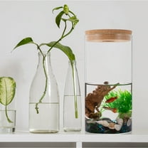 ULTNICE 1Set Glass Terrarium Jar Borosilicate Glass Modern Design for Office Decor