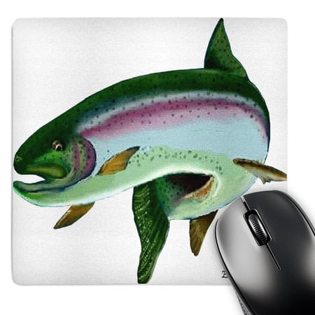 3dRose  Rainbow Trout  MousePad price history on PriceWatchPro