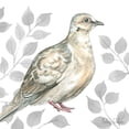 thumbnail image 2 of Wilson, Kelsey 15x15 Gold Ornate Wood Framed with Double Matting Museum Art Print Titled - Backyard Birds V-Mourning Dove, 2 of 4