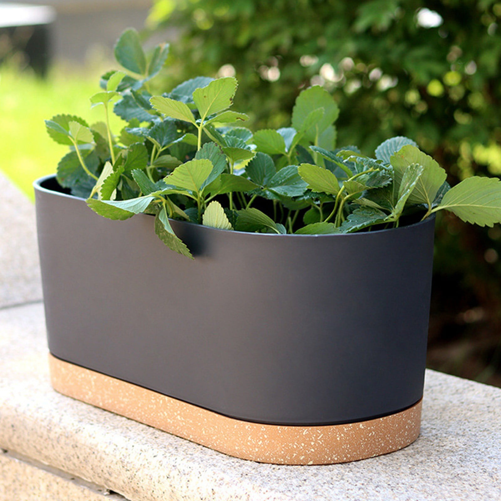 Window Box Planter, Flower Window Boxes, Rectangular Planter Box with Drainage Holes & Tray - Window Sill, Balcony, Patio Garden Decor for Vegetables, Flowers, Bedroom, Living Room, Porch