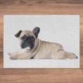 thumbnail image 5 of Ambesonne French Jigsaw Puzzle Durable Cardboard, Bulldog Buddy Domestic Pet, 1000 pcs, White Tan Ecru, 5 of 5