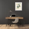 thumbnail image 3 of Unknown 12x14 White Modern Wood Framed Museum Art Print Titled - Vintage Verdure II, 3 of 4