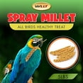 thumbnail image 3 of Vivlly 5LBS GMO-Free Sun Dried Spray Millet - Original Bird Treat Millet for Parakeets, Cockatiels, Finches & More - Non-GMO, High in Amino Acids, Easy Storage, Tasty & Healthy Bird Snacks (5 lbs), 3 of 8