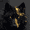 Black Wolf Abstract Gold Splash, variant on Qisvanset Black Wolf Abstract Gold Splash Canvas Wall Art 15.75x11.81 INCHES