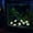 A:Pink, variant on Glow in The Dark Sea Star Aquarium Decor - DIY Luminous Pebbles & Glow Rocks for Fish Tank Decor, Artificial Starfish Landscaping Stone for Aquascape & Terrarium