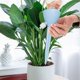 thumbnail image 2 of MTBLYS Sistema de riego por goteo automático: dispositivo de riego lento ajustable con estacas de infiltración para plantas en maceta|jardín|cestas colgantes|invernadero y jardineras exteriores, 2 of 7