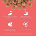 thumbnail image 5 of CARNIVORE Grain Free Salmon + Cod Recipe for dogs, 5 of 5