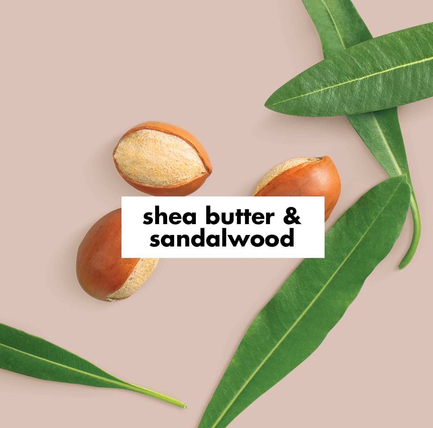 Love Beauty and Planet Shea & Sandalwood Hand Cream