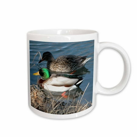 

3dRose Mallard Duck Couple Ceramic Mug 15-ounce