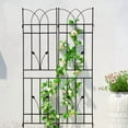 thumbnail image 5 of Hi-GARDEN, 1-YEAR-WARRANTY, 71"(H)*17.7"(W), 4 Pack of Metal Garden Trellis, Rustproof Trellis for Climbing Plants Outdoor Flower Support(Black), 5 of 6