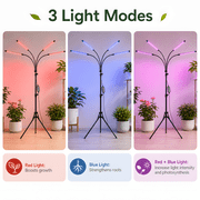 DAYBETTER Grow Light for Indoor Plants, 4 Heads Full Spectrum Plant Light with Adjustable Stand, 3 Light Modes Grow Lamp with Auto Timer & 10 Dimmable Brightness