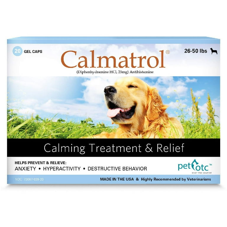 Otc meds for dogs with shop anxiety
