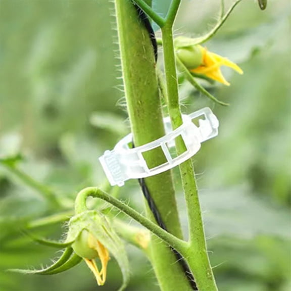 Bisitoy 100 Pcs Plant Support Clips,Plastic Clips for Securing Plants,Tomato Vine Clips,Plant Fixing Clips,Garden Clips for Climbing Plants,Grape and Vine Vegetables (Clear, One Size)