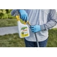 thumbnail image 3 of Scotts Liquid Turf Builder Plus 2 Weed Control - Liquid Weed Killer & Fertilizer - 32 oz 2-Pack — Outdoor & Indoor Plant Use, Easy Application, 3 of 4