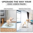 thumbnail image 5 of Dog Pee Pad Holder with Raised Mesh Grate – Expandable Indoor Puppy Potty Tray, Heavy Duty Plastic, Keeps Paws Dry, Fits Standard 24x15 Pads – Alpha Dog Series, 5 of 13