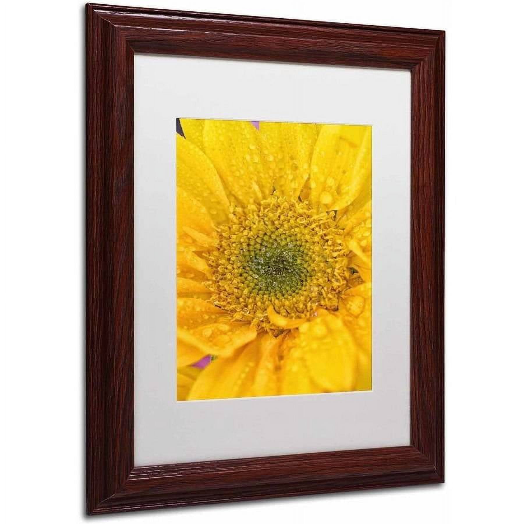 Trademark Fine Art 'Joyful Color' Canvas Art by PIPA Fine Art, White Matte, Wood Frame