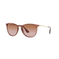 thumbnail image 1 of Lente de sol Ray-Ban ERIKA Life Style para mujer, 1 of 1