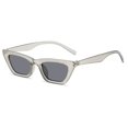 thumbnail image 1 of Gafas de sol distintivas estilo hip hop, discoteca, montura pequeña, gafas de sol estilo ojo de gato, cara pequeña, geniales para mujeres, 1 of 6