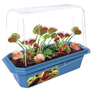 TOYS BY NATURE Grow Your Own Frightening Venus Flytraps - Kids Terrarium Kit to Grow Vicious Bug Eating Monsters - Includes Everything Needed for These Fascinating Plants to Flourish