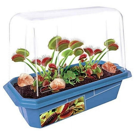 TOYS BY NATURE Grow Your Own Frightening Venus Flytraps - Kids Terrarium Kit to Grow Vicious Bug Eating Monsters - Includes Everything Needed for These Fascinating Plants to Flourish