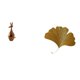thumbnail image 1 of Estatua Animal Figura Artesanía Esculturas Hierro Forjado Hojas de Ginkgo Arte de Pared Escultura Colgante Decoración Material de Madera Diseño Creati, 1 of 8